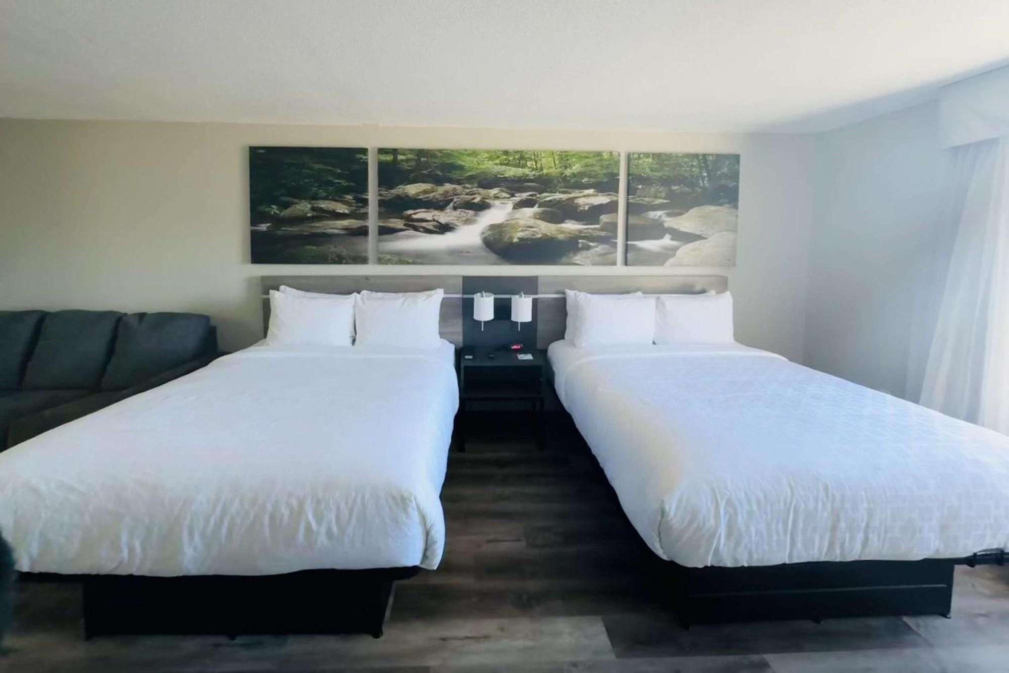 Clarion Pointe Albemarle Hotel Ngoại thất bức ảnh